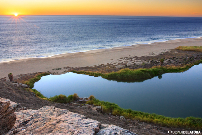 Todos Santos Baja Listings